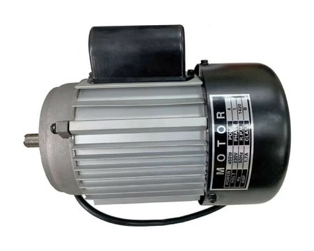 Электродвигатель Белмаш Е006А для WBS-254/2