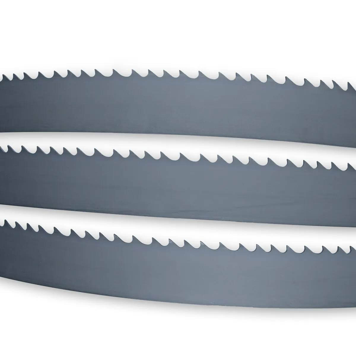 Лента пильная по дереву 41х1,3х5611 мм 2/3 TPI БЕЛМАШ для WBS-800/WBS-810P (PP307A)